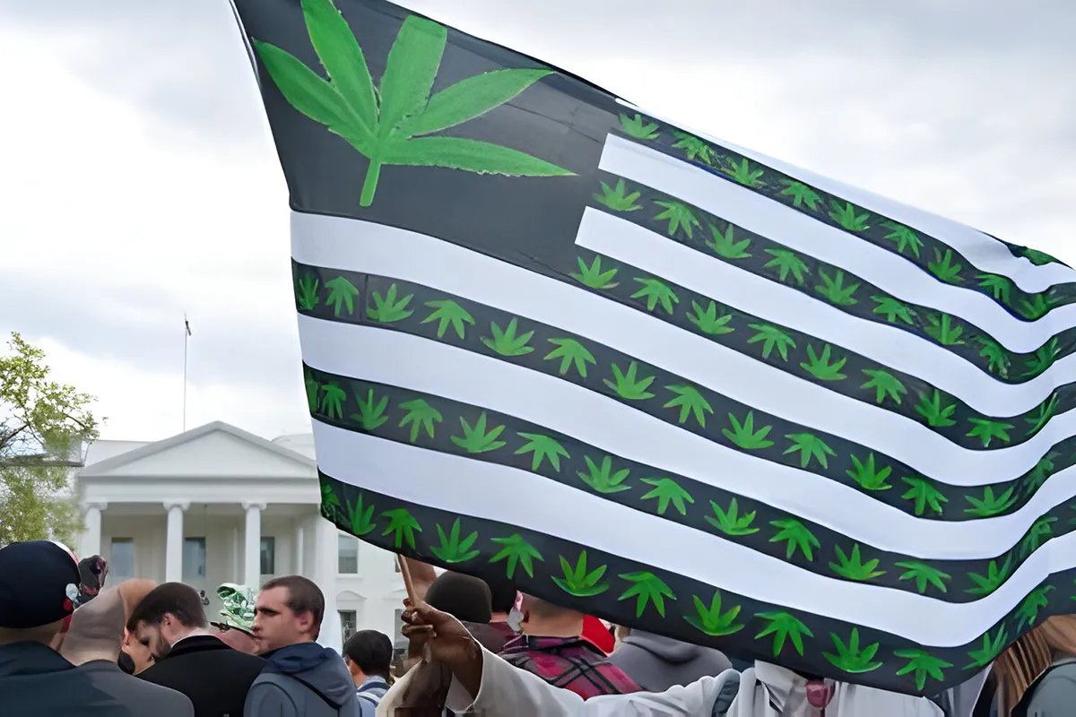 medical marijuana laws in united states