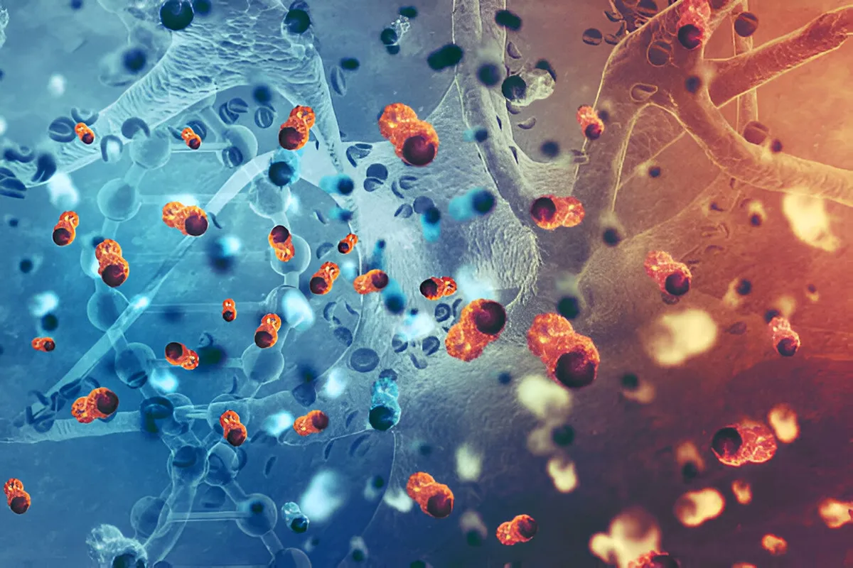 comparison graphic of cancer cells and normal body cells comparison graphic of cancer cells and normal body cells