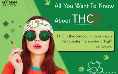 All you want to know about THC