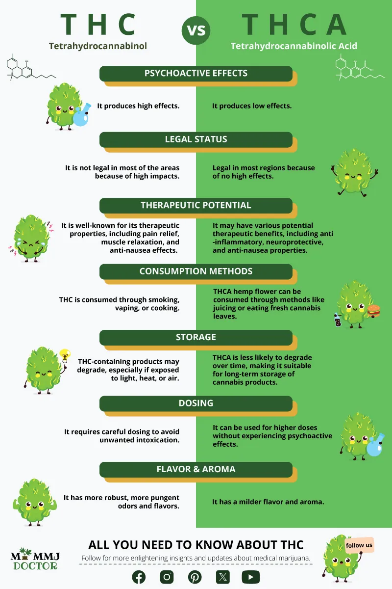 infographic explaining the difference between thc and thca and their effects on the human brain infographic explaining the difference between thc and thca and their effects on the human brain