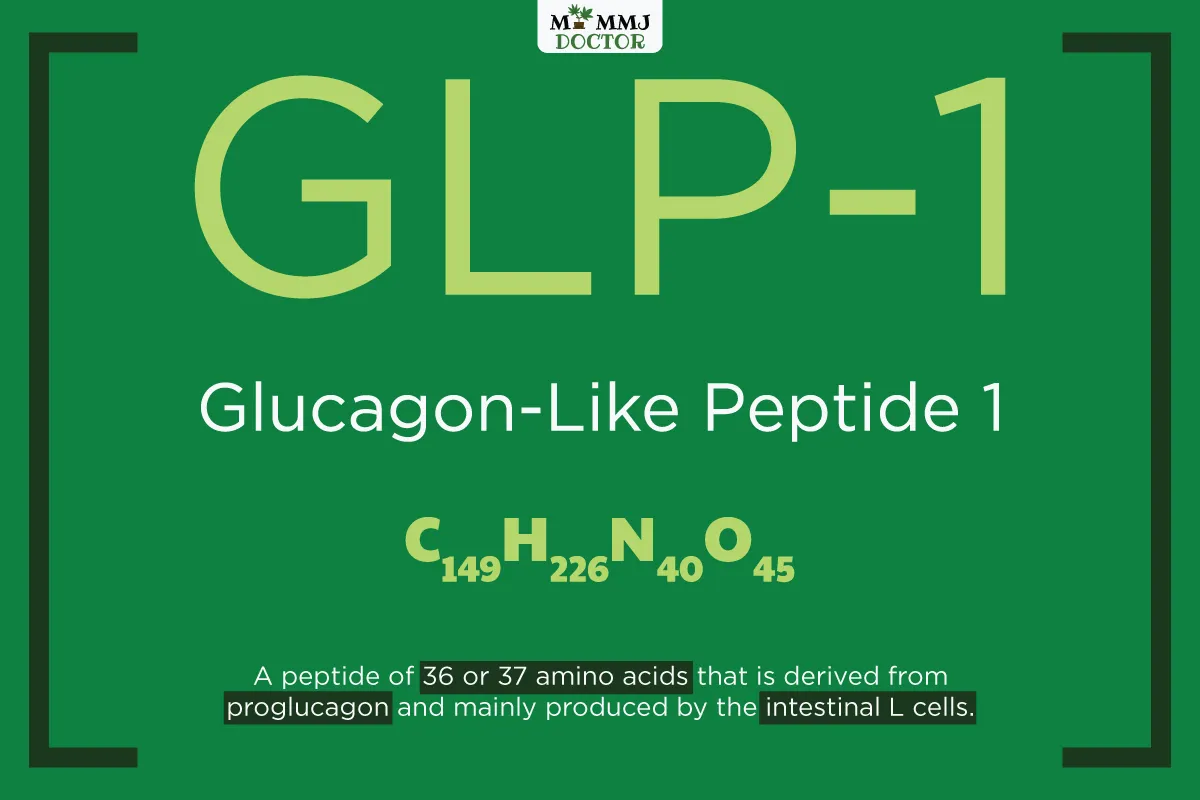 illustration of glucagon-like peptide 1 (GLP-1) hormone showing where GLP-1 is formed in the body