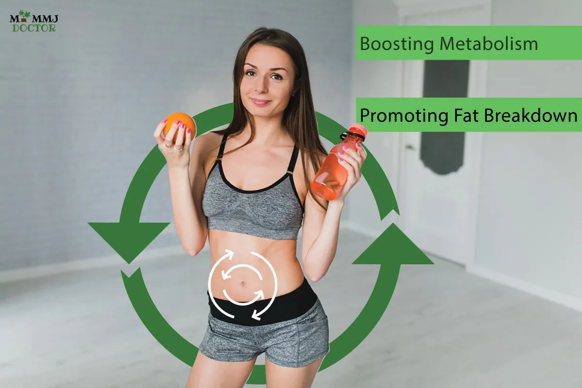 woman holding an orange and a water bottle with circles illustrating increased metabolism and fat breakdown, accompanied by the heading 'boosting metabolism and promoting fat breakdown