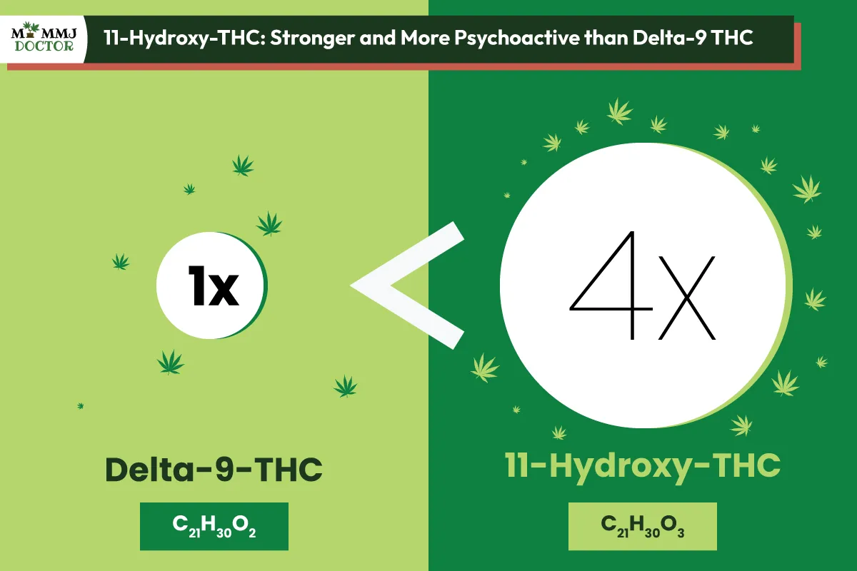 illustration showing delta-9 THC and 11-hydroxy THC, highlighting 11-hydroxy THC as more potent and psychoactive than delta-9 THC illustration showing delta-9 THC and 11-hydroxy THC, highlighting 11-hydroxy THC as more potent and psychoactive than delta-9 THC