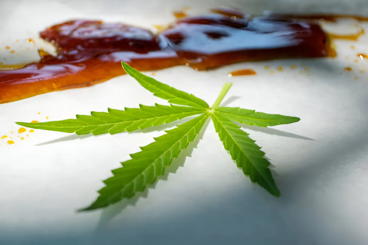 marijuana leaf with cannabis distillate, a pure and concentrated form of cannabis used in recipes for a potent effect without altering flavor marijuana leaf with cannabis distillate, a pure and concentrated form of cannabis used in recipes for a potent effect without altering flavor
