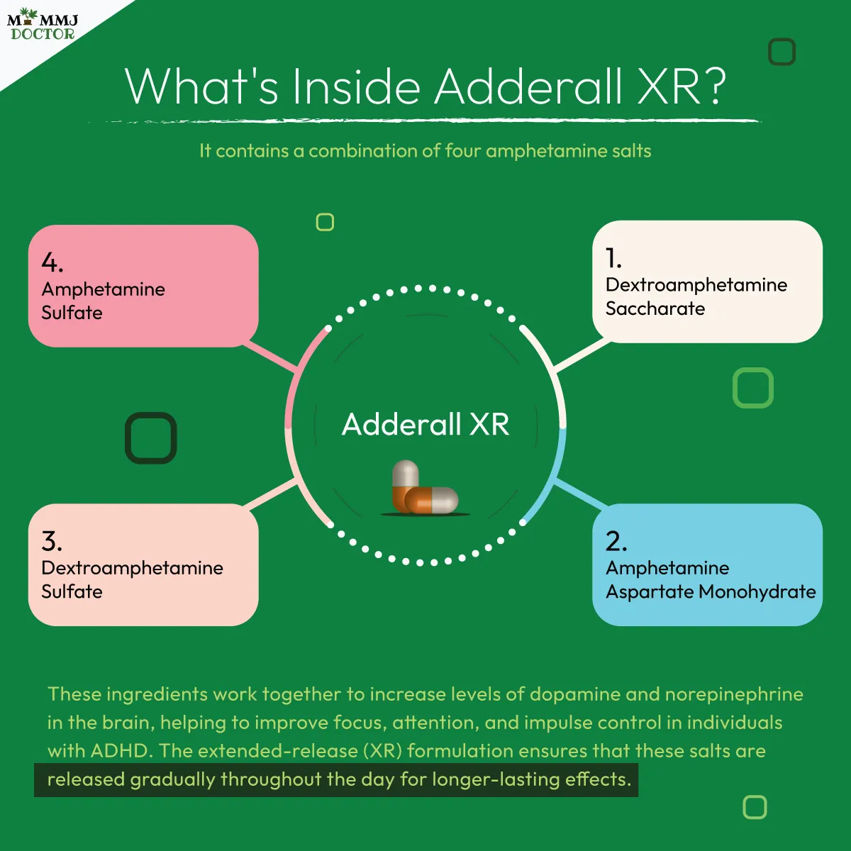 infographic showing what's inside adderall XR with four amphetamine salts: dextroamphetamine saccharate, amphetamine aspartate monohydrate, dextroamphetamine sulfate, amphetamine sulfate, explaining their role in increasing dopamine and norepinephrine for ADHD treatment with extended-release effects infographic showing what's inside adderall XR with four amphetamine salts: dextroamphetamine saccharate, amphetamine aspartate monohydrate, dextroamphetamine sulfate, amphetamine sulfate, explaining their role in increasing dopamine and norepinephrine for ADHD treatment with extended-release effects