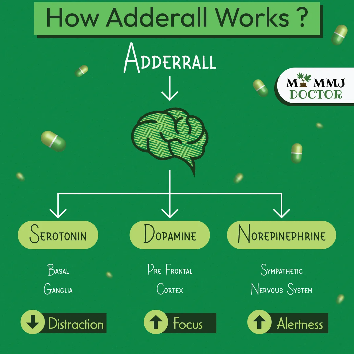infographic showing how adderall works on the brain by releasing dopamine, serotonin, and norepinephrine; dopamine increases focus in the prefrontal cortex, serotonin reduces distractions in the basal ganglia, and norepinephrine enhances alertness by increasing blood flow through the sympathetic nervous system, helping relieve ADHD symptoms infographic showing how adderall works on the brain by releasing dopamine, serotonin, and norepinephrine; dopamine increases focus in the prefrontal cortex, serotonin reduces distractions in the basal ganglia, and norepinephrine enhances alertness by increasing blood flow through the sympathetic nervous system, helping relieve ADHD symptoms