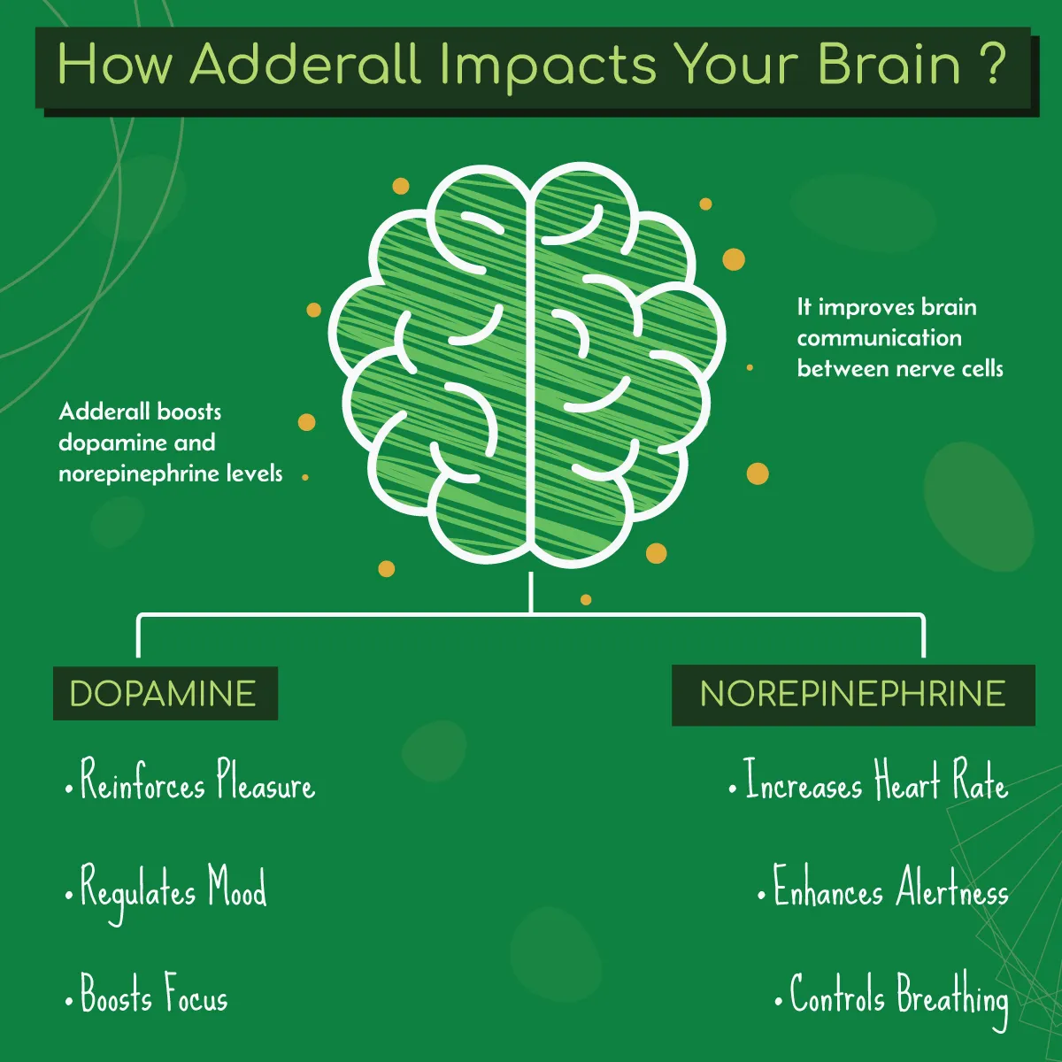 Infographic illustrating how Adderall affects dopamine and norepinephrine in the brain. Infographic illustrating how Adderall affects dopamine and norepinephrine in the brain.