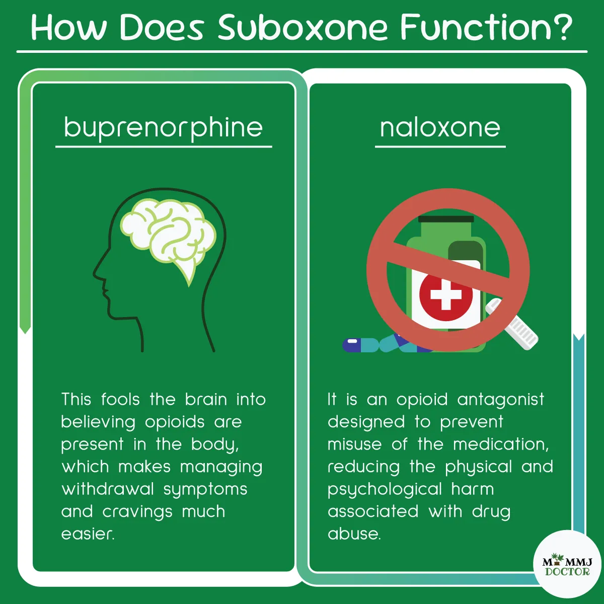 infographic showing how suboxone ingredients buprenorphine and naloxone function in the brain, buprenorphine eases withdrawal symptoms and cravings, naloxone prevents opioid misuse infographic showing how suboxone ingredients buprenorphine and naloxone function in the brain, buprenorphine eases withdrawal symptoms and cravings, naloxone prevents opioid misuse