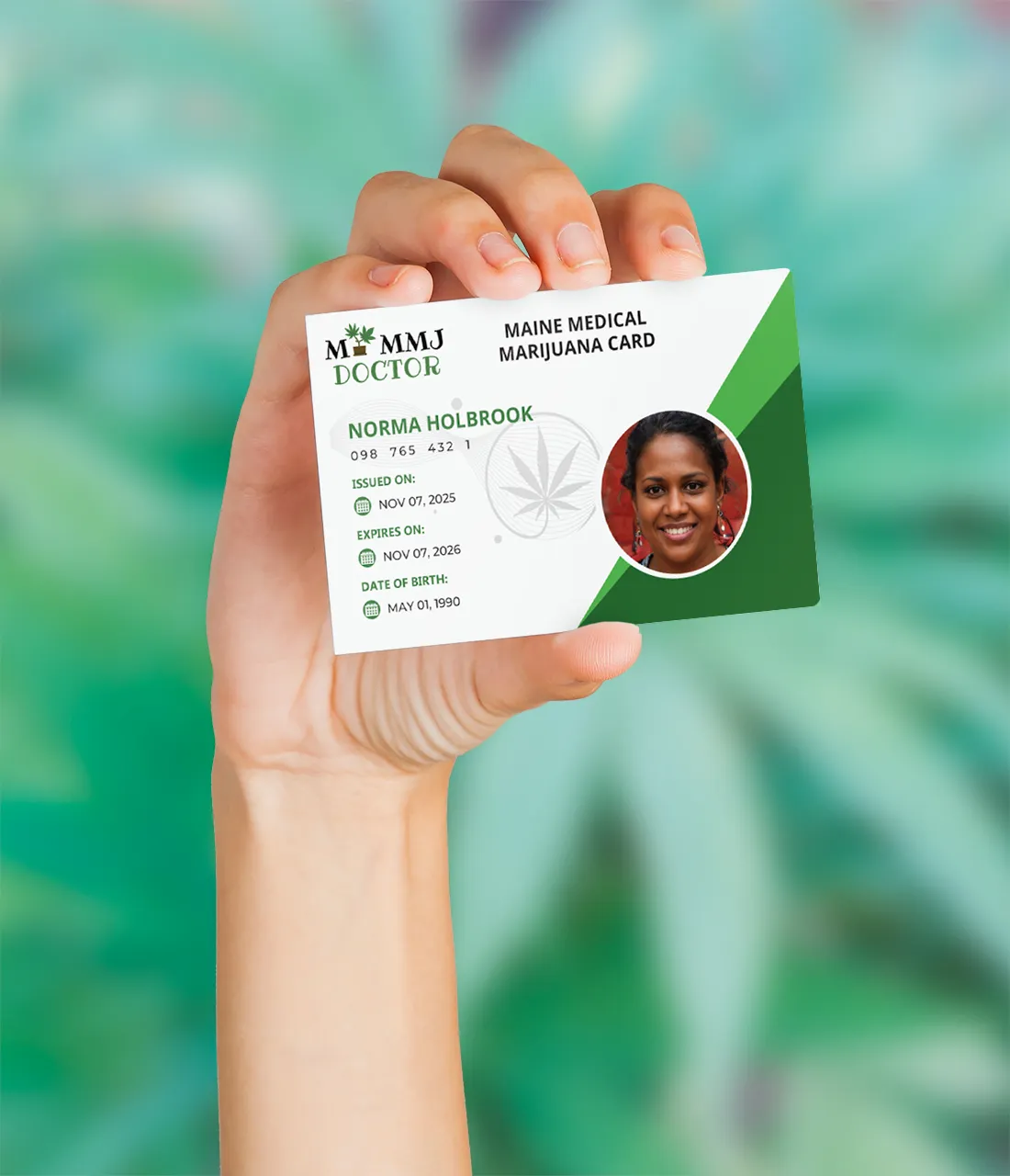 holding maine mmj card