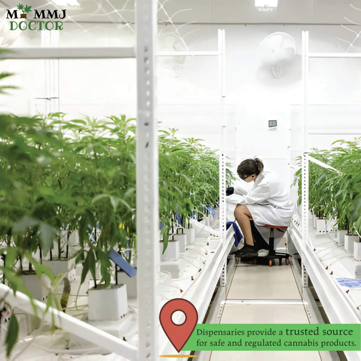 trusted cannabis dispensary for high-quality cannabis products