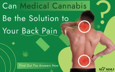 How Medical Marijuana Helps Relieve Back Pain?