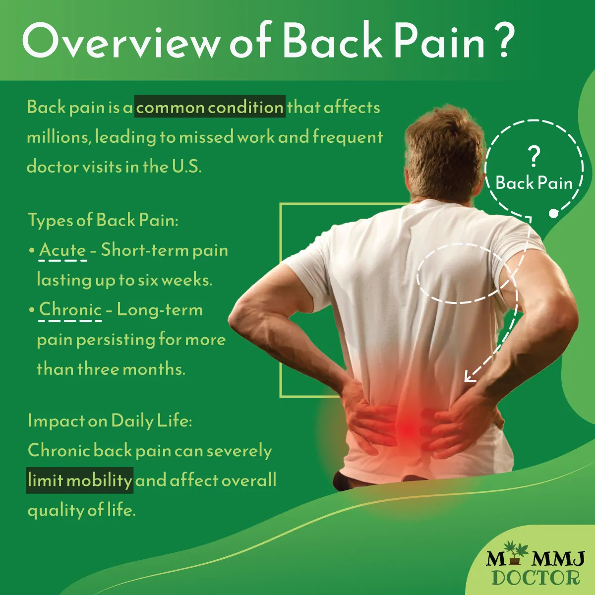 infographic explaining back pain and its impact on daily life