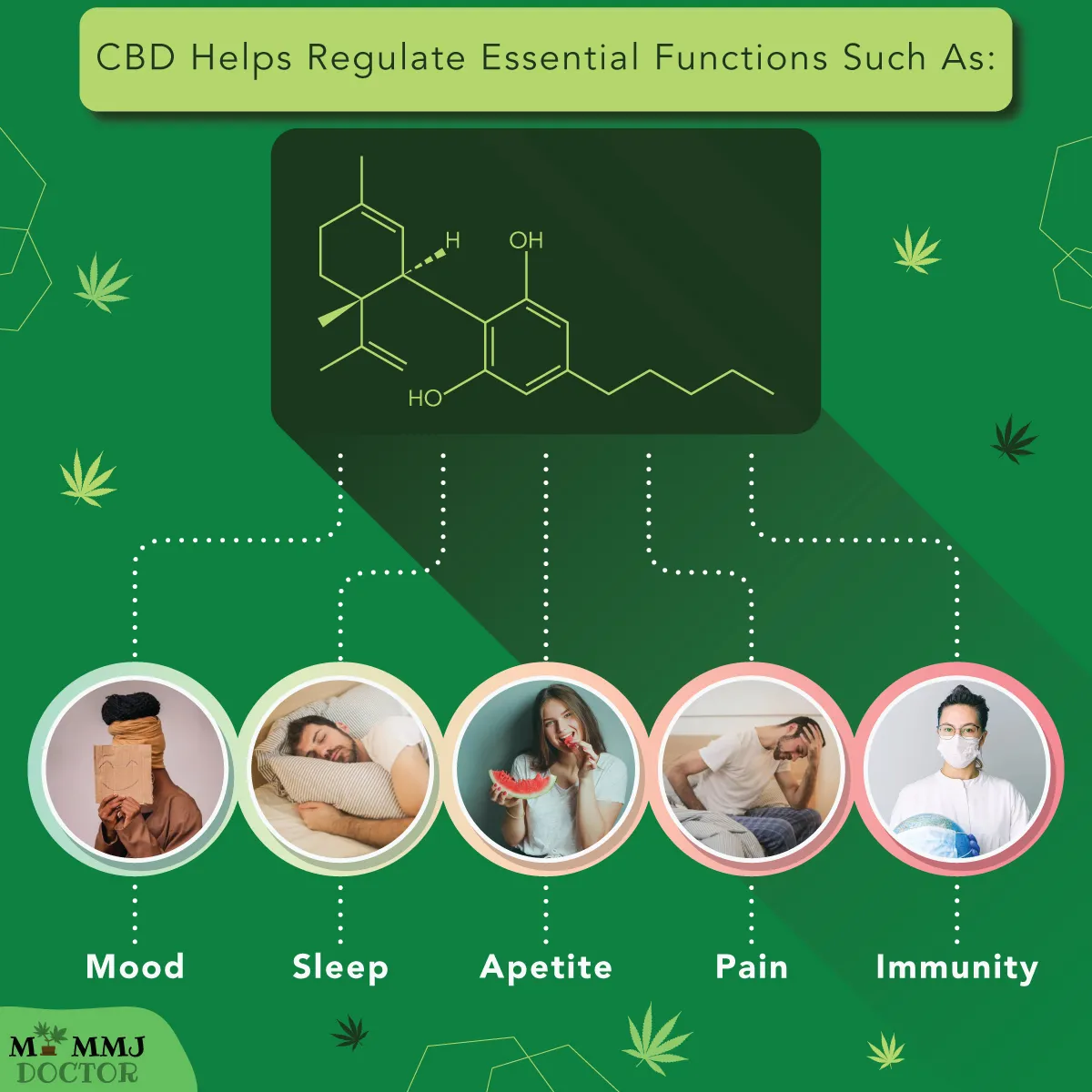 infographic showing cbd can regulate mood, sleep, appetite, pain, and immunity infographic showing cbd can regulate mood, sleep, appetite, pain, and immunity