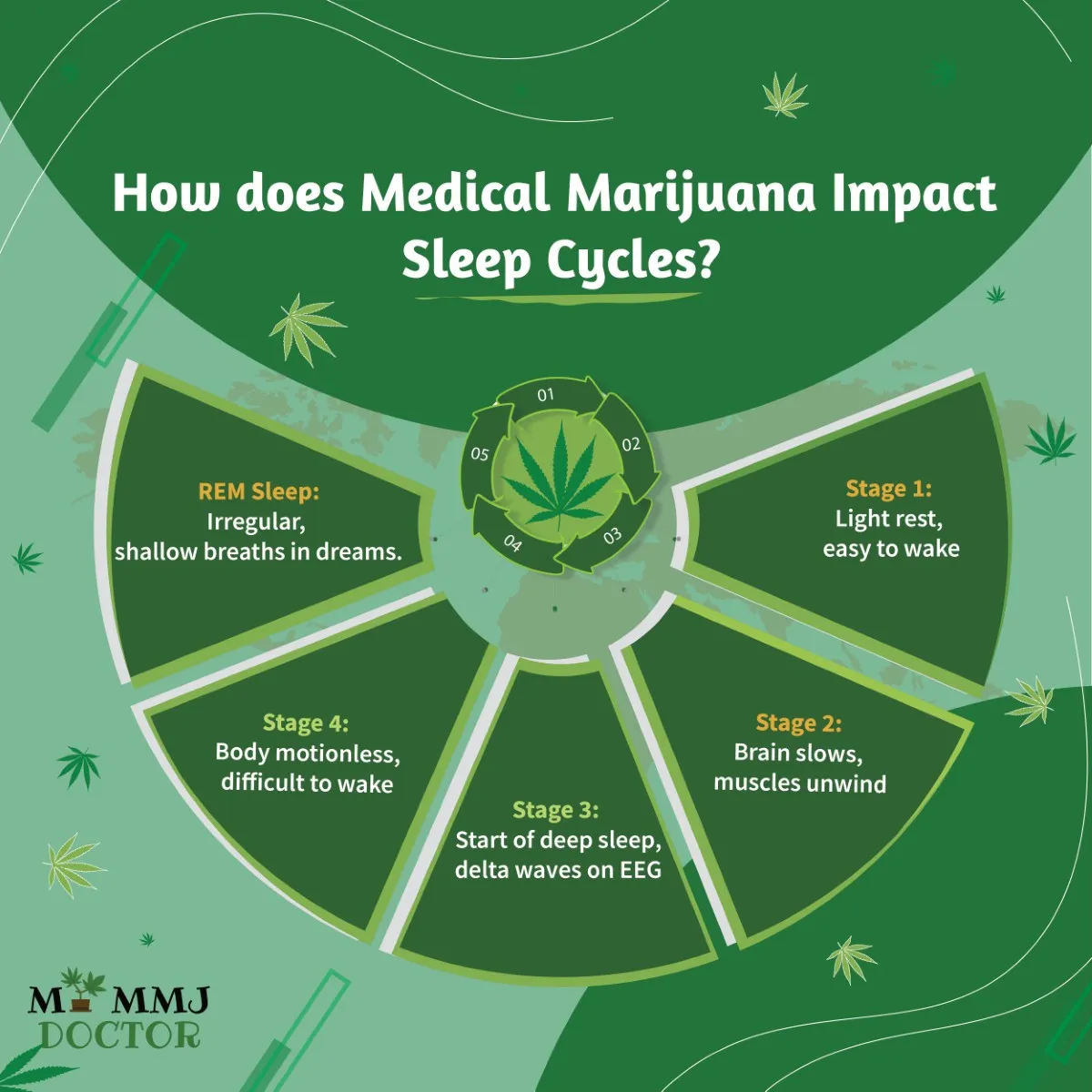 infographic explaining how medical marijuana impacts sleep cycle in 5 steps infographic explaining how medical marijuana impacts sleep cycle in 5 steps