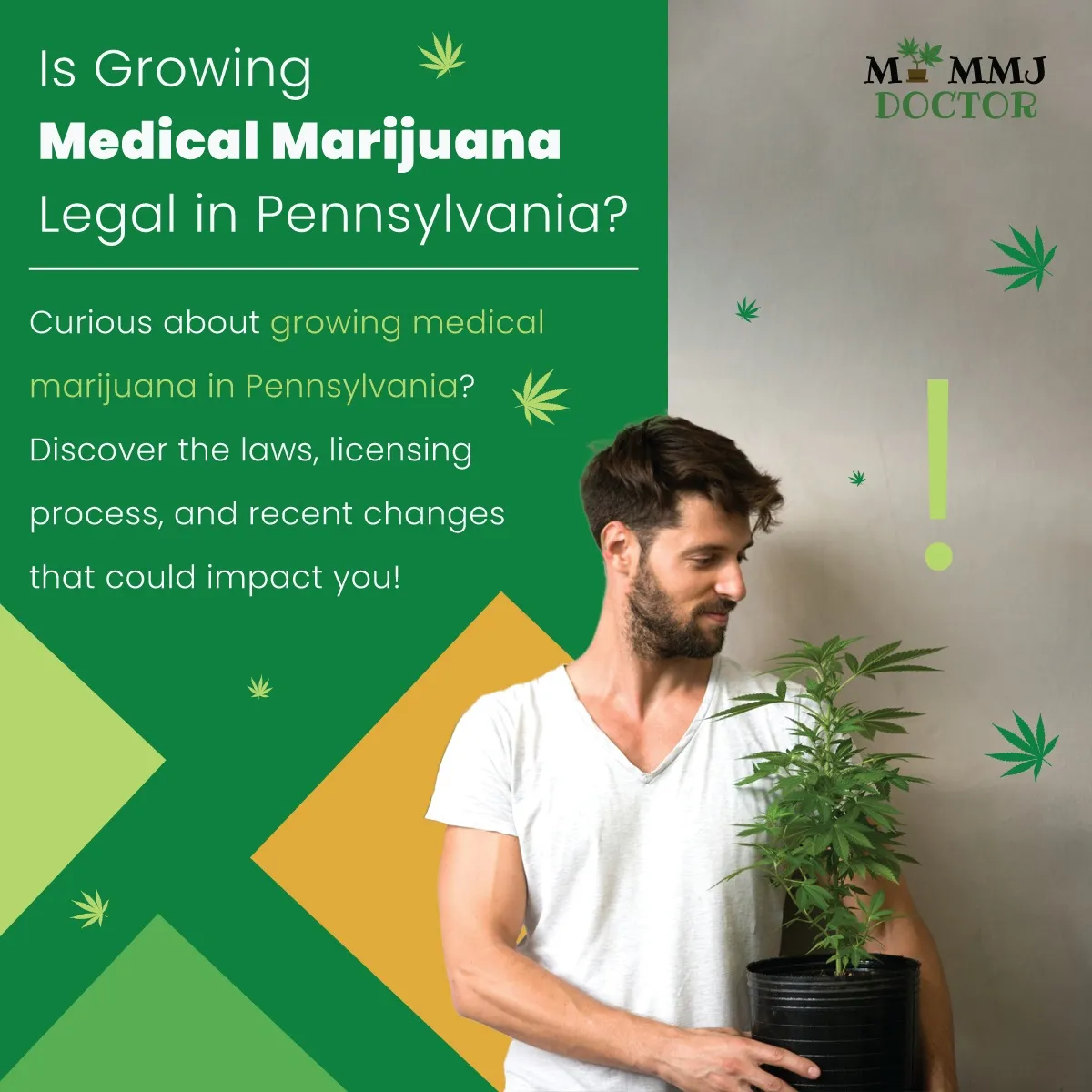 man holding cannabis plant pot with text is growing medical marijuana legal in pennsylvania man holding cannabis plant pot with text is growing medical marijuana legal in pennsylvania