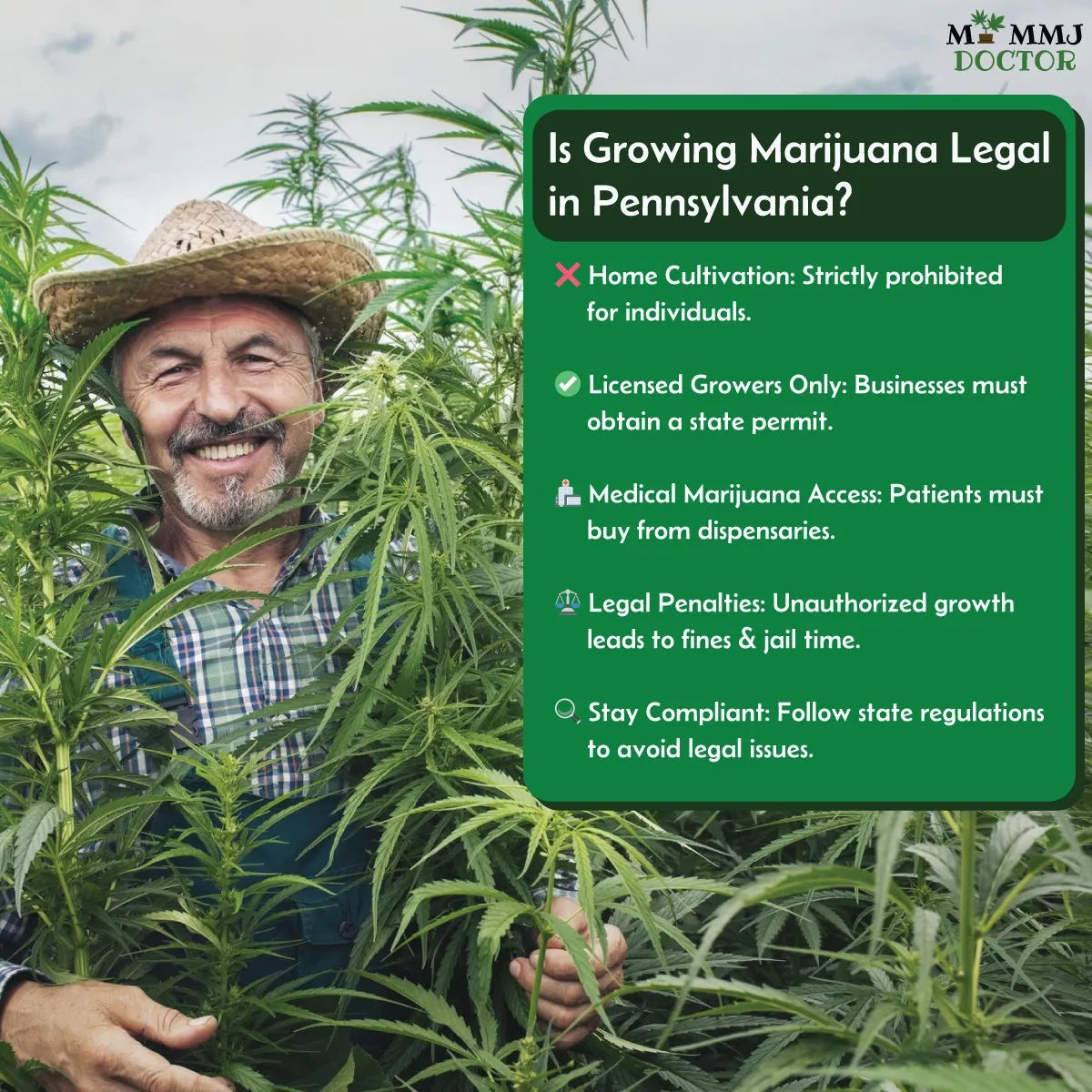 old man with list of answers about marijuana legality in pennsylvania old man with list of answers about marijuana legality in pennsylvania