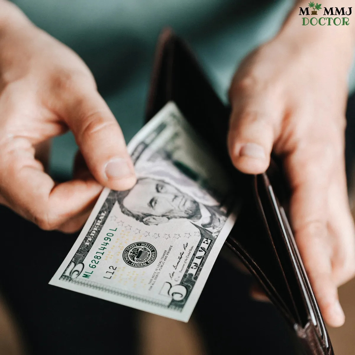dollar image symbolizing application fee submission for cannabis license dollar image symbolizing application fee submission for cannabis license