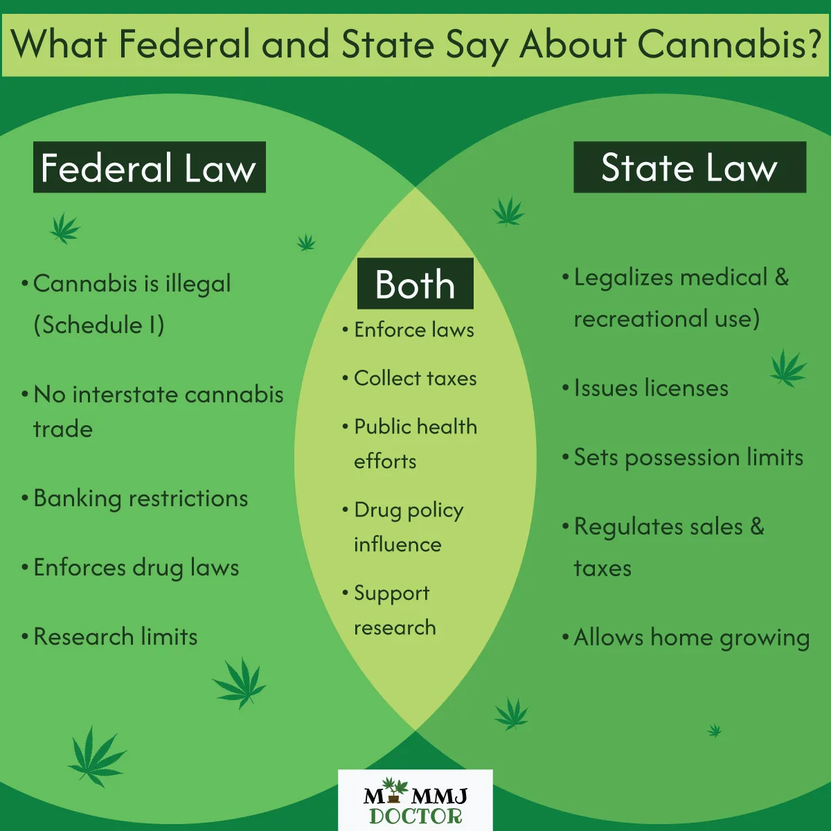 infographic showing federal state and shared cannabis laws comparison