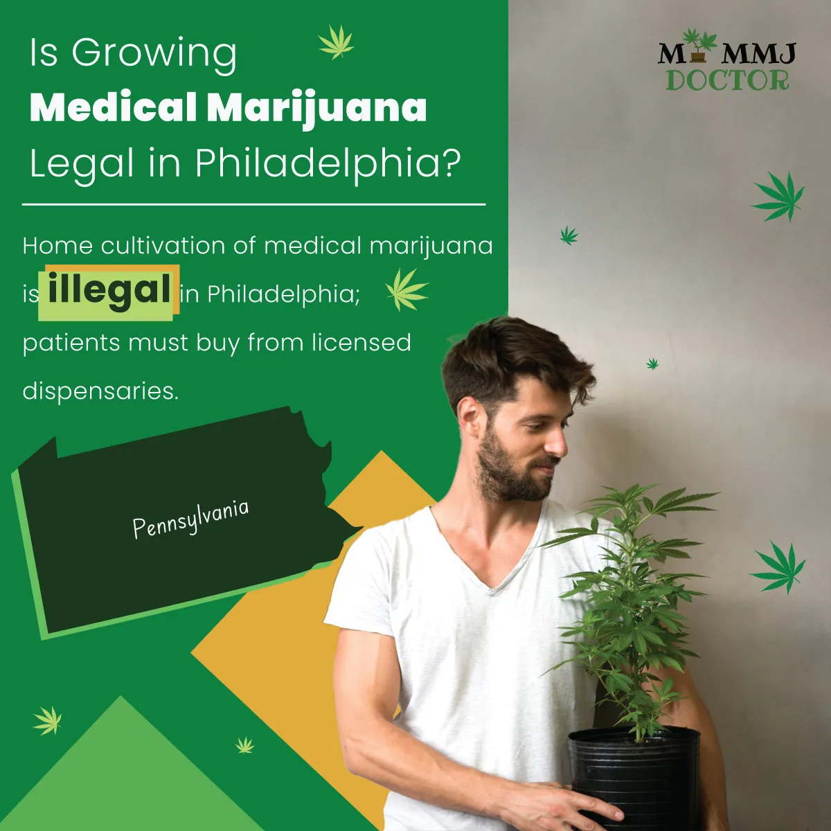 man holding cannabis plants showing home cultivation is illegal in philadelphia