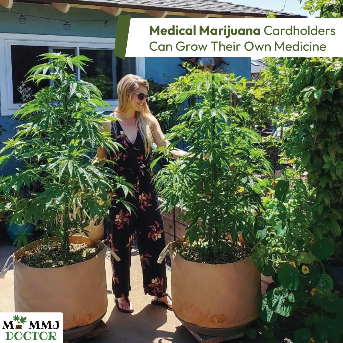 woman growing marijuana at home using cultivation rights from michigan mmj card woman growing marijuana at home using cultivation rights from michigan mmj card