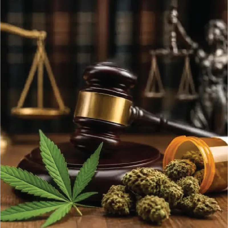 ohio marijuana legalization laws with cannabis, gavel, and prescription bottle